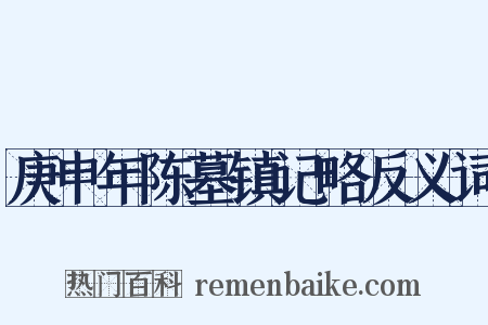 庚申年陈墓镇记略反义词是什么意思的图片